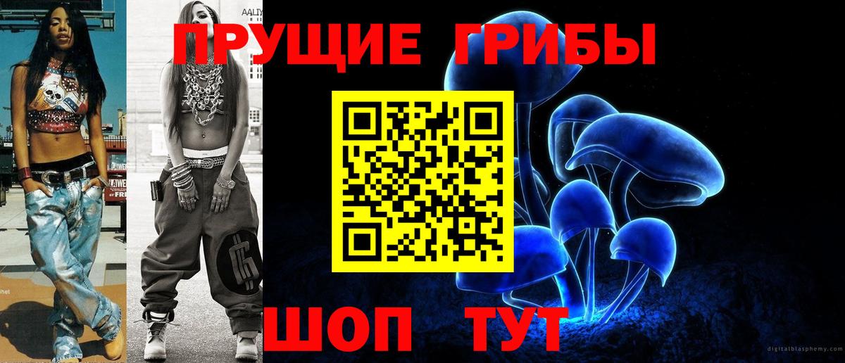 Псилоцибиновые грибы GOLDEN TEACHER  Вход с VPN  купить наркотик  Алексин 