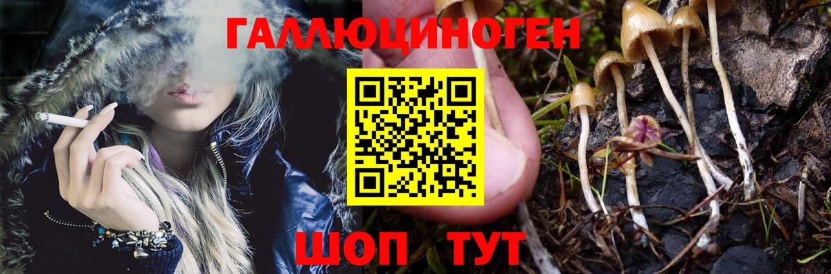 Псилоцибиновые грибы мицелий Алексин