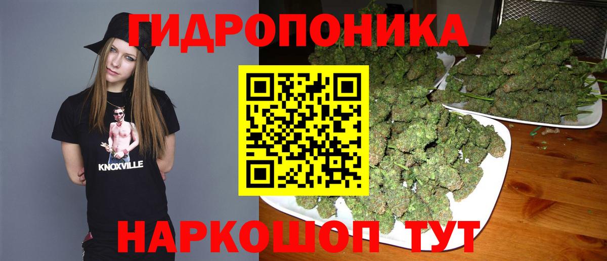 Марихуана OG Kush Алексин